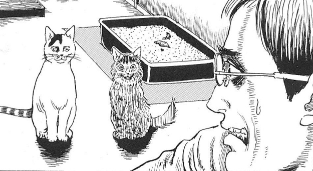 Junji Ito: Enchanting Horror Manga Creator For 30 Years - Toons Mag